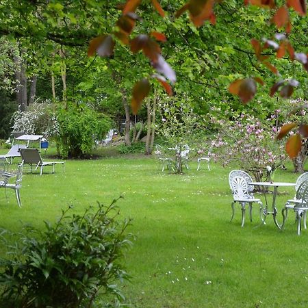 Hotel Villa Konigin Luise Bad Pyrmont Luaran gambar